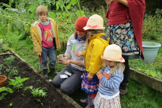 Wildlife Gardening