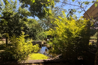 Tropical scenes at Trevoole with blue skies and lush shrubs and trees