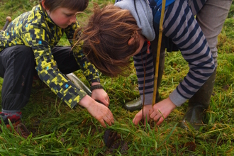 Children tree planting - Sarah Clappison