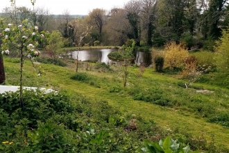 Ponds at South Bosent