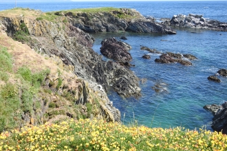 A rocky cliffedge slopes into an clear blue, calm sea surrounding looe island