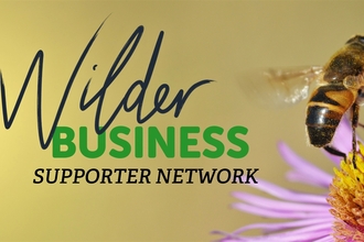 Wilder Business