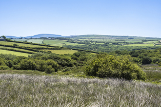 Rosenannon Nature Reserve before the fire