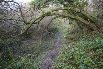 St. Erth Pit