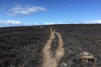 The aftermath of the Bartinney Downs Nature Reserve Fire