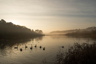 Swanpool lake