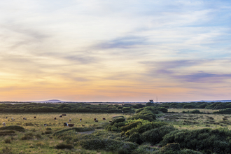 Windmill Farm Nature Reserve Panoramic Landscape by Ben Watkins