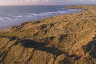 The impact we had, together, in 2021 - Cornwall Wildlife Trust