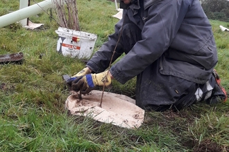 Volunteer getting stuck in at Cornwall Wildlife Trust and South West Lakes' volunteer tree planting day