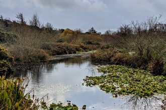 A large pond surrounded by autumn trees
