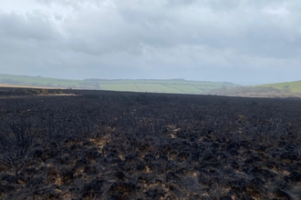 Rosenannon Downs Nature Reserve Fire 7th March 2022