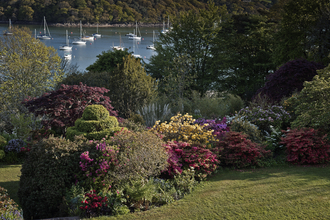 The view at Pedn Billy, which opens for Cornwall Wildlife Trust every year. Image by Nigel Bligh.