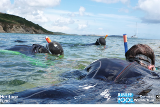 Snorkel YS