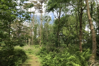 Five Acres