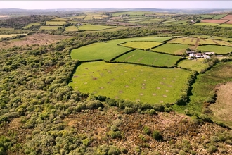 The landscape of Creney Farm and Helman Tor, Image by Ebb & Flow Media | Helman Tor Land Purchase Appeal