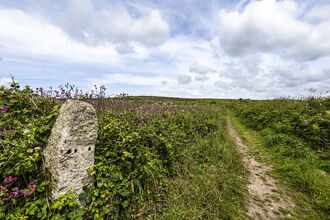Path to Cornwall Wildlife Trust's Bartinney nature reserve by Ben Watkins