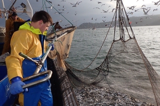 Fisheries Liaison and Marine Business Advisor