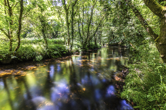 River Fowey from Cornwall Wildlife Trust's Cabilla & Redrice Wood nature reserve. Image by Ben Watkins