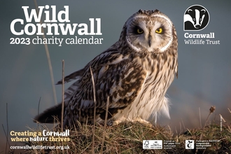 2023 Wild Cornwall Calendar