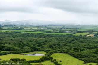 View from Helman Tor