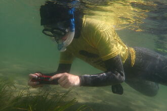 Mounts Bay Easter Festival – Snorkel Safari
