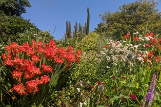 Bolts Quarry Farm in bloom