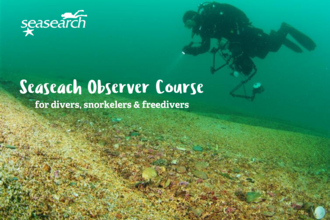 Seasearch Observer Training