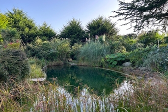A large wildlife pond in the centre of the image is surrounded by reeds and an assortment of shrubs. Some coniferous trees can be seen in the background.