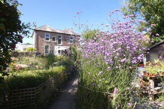 A sunny shot of Meadowside garden and house with tall purple flowers in the foreground.