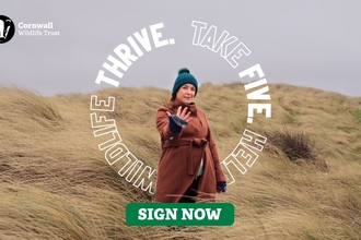 Take five. Help wildlife thrive