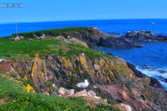 Looe Island webcam view