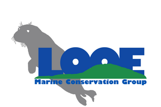 Looe MCG logo