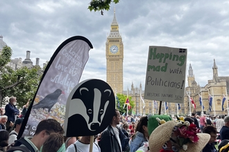 a group of people holding signs and flags outside Big Ben