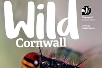 The cover of Wild Cornwall magazine (Issue 154) published by Cornwall Wildlife Trust. Cover image is a dragonfly's head, main headline reads 'Making a splash!' highlighting an upstream thinking article