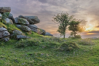 The rocks at Helman Tor alongside a tree at sunset