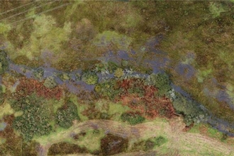 Beaver created wetland at Helman Tor