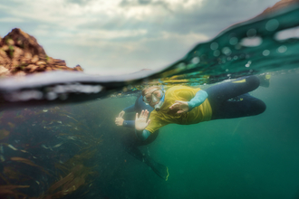 Snorkellers