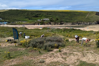 People participating in a conservation effort on a coastal dune. A banner reading 'Making space for sand' and some tools are visible. The beach is in the background.