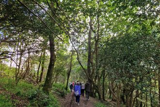 Wildlife Patrons walking through Devichoys Woods