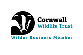 WBN Logo