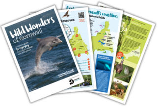 Wild wonders