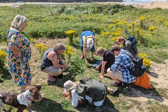 Botany workshop being delivered for volunteers on a sand dune