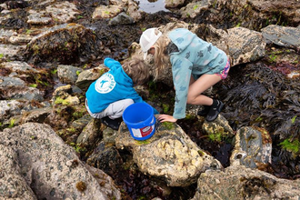 Rockpool Ramble
