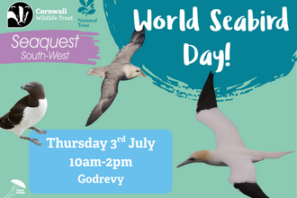 A poster with images of seabirds advertising an event for World Seabird Day on Thu 3 July at Godrevy