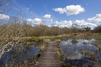 Boardwalk at Breney Common
