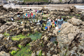 Group rockpooling