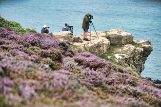 Wilderness Photographic SQSW