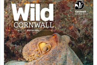 The cover of Wild Cornwall magazine (Issue 158) published by Cornwall Wildlife Trust. Cover image is an octopus, the main headline reads 'The Strangest Seas'