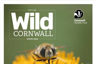 Cover of Wild Cornwall magazine issue 150