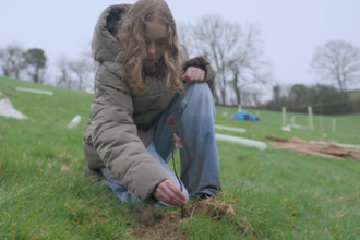 Woman crouched, planting tree in the ground
